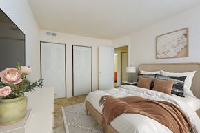 Capitol Heights apartment for rent - a master bedroom with a large bed and a tv