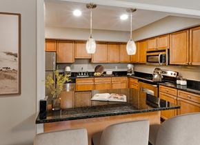 Pikesville apartment for rent - a kitchen with granite counter tops and wooden cabinets