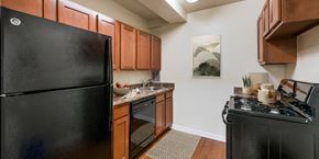 Silver Spring apartment for rent - a kitchen with black appliances and a stove and a refrigerator