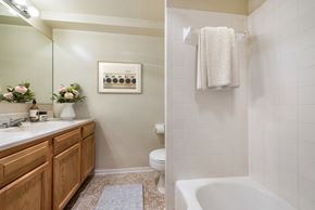 Capitol Heights apartment for rent - a bathroom with a sink and a toilet and a shower