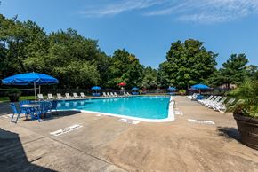 Oxon Hill apartment for rent - a swimming pool with chairs and umbrellas and trees