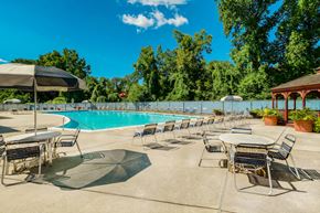 Laurel apartment for rent - a swimming pool with tables and chairs and umbrellas