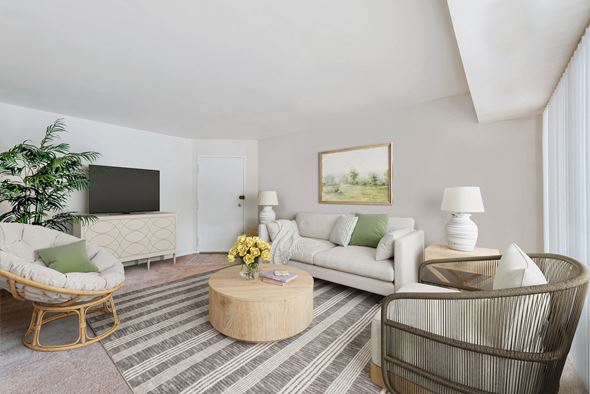Alexandria apartment for rent - a living room with a couch and a chair and a television