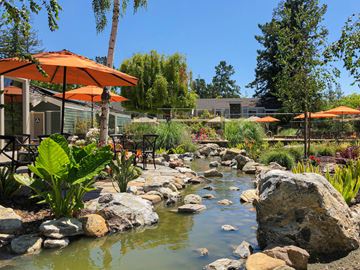 Cupertino apartment for rent - A garden with a stream and rocks.