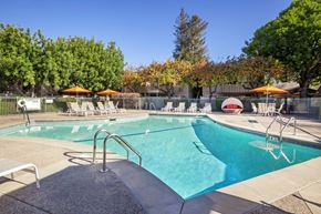 Mountain View apartment for rent - the swimming pool at our hotel