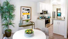 Santa Clara apartment for rent - a kitchen with white cabinets and a table with a plant
