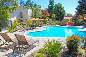 Santa Clara apartment for rent - A pool surrounded by chairs and plants.