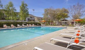 Cupertino apartment for rent - the swimming pool at our crossings apartments