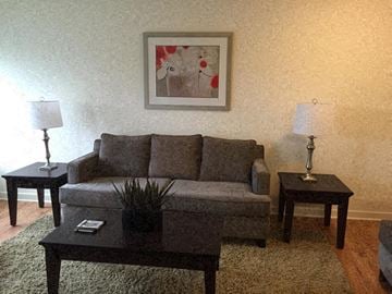 Cecilton apartment for rent - a living room with a couch and a coffee table