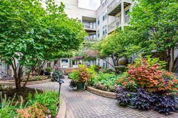 Courtyard with green space