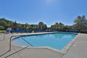 Loveland apartment for rent - A large swimming pool surrounded by trees and blue lounge chairs.