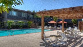 Mountain View apartment for rent - a swimming pool with chairs and umbrellas