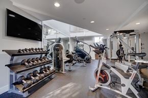 Mountain View apartment for rent - a gym with weights machines and a tv