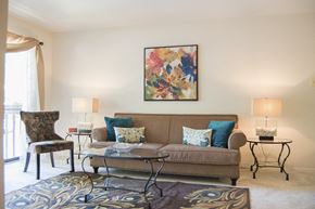 Columbia apartment for rent - Living room at The Bluffs at Fairway Hills, Maryland, 21044