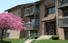 Essex apartment for rent - A building with a tree in front of it.