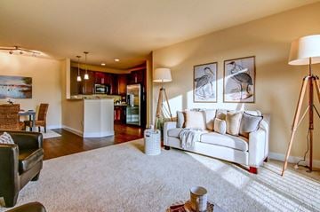 Madison apartment for rent - a living room with a couch and a kitchen in the background