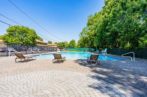 Woodbridge apartment for rent - a swimming pool with reclining chairs next to a resort style pool