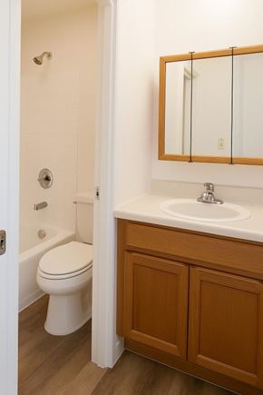 Freehold apartment for rent - A white toilet is in a bathroom with a wooden cabinet and a mirror above the sink.