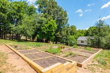 Community garden