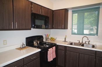 Sleek black energy efficient appliances*