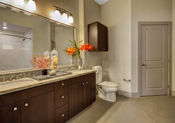 Luxury bathrooms with solid slab countertops
