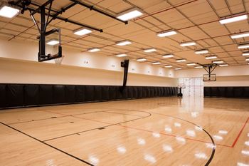Basketball court