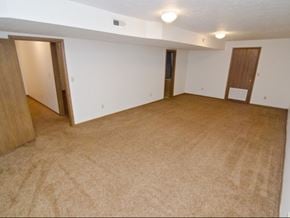 Dewitt triplex for rent - an empty living room with two doors and a carpeted floor