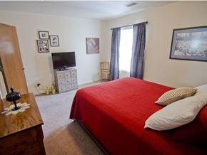 Lansing apartment for rent - a bedroom with a red bed and a television