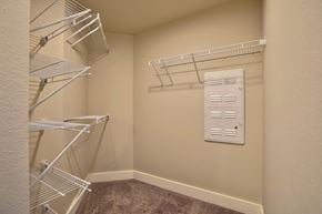 Lansing apartment for rent - Walk in closet at Verndale Apartments in Lansing, MI 