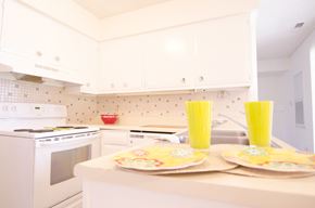East Lansing apartment for rent - a white kitchen with yellow glasses on the counter