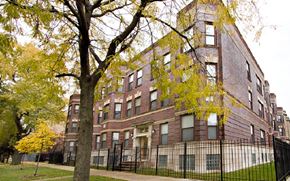 Chicago apartment for rent - A tree with yellow leaves is in front of a red brick building.