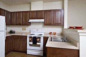 Chicago apartment for rent - The Jackson at Woodlawn Park Interior 1