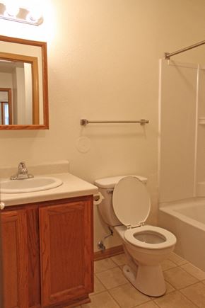 Des Moines triplex for rent - a bathroom with a toilet and a sink and a shower
