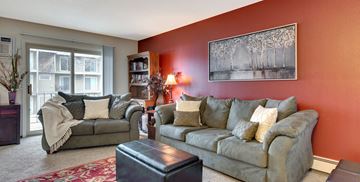 Robbinsdale triplex for rent - A living room with a grey couch, a red rug, and a painting on the wall.