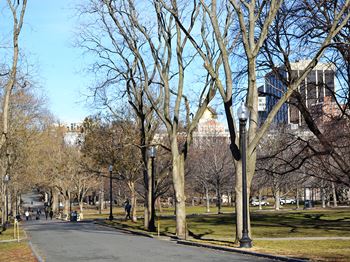 Two blocks to boston common's park