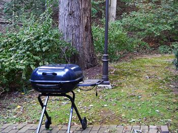 Bbq/picnic area