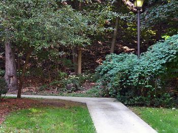 Bbq/picnic area