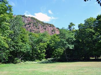 Gorgeous park across the street