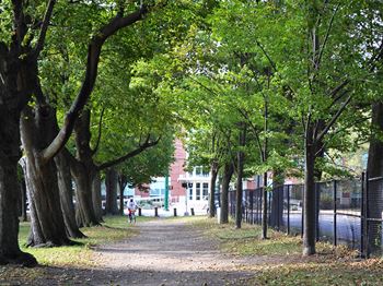 Close proximity to local park