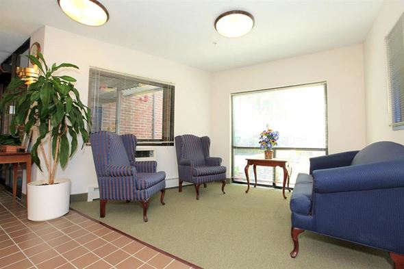 Jamaica Plain apartment for rent - a living room with blue furniture and a plant