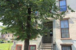 Albany apartment for rent - a house with a tree in front of it