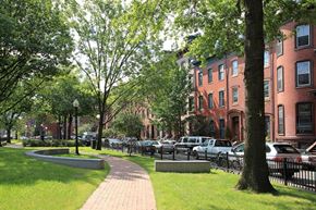 Boston apartment for rent - a park with trees and cars parked in front of buildings
