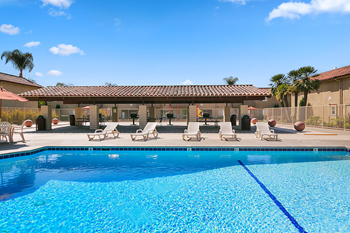 Poolside view 