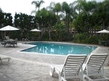 Sparkling pool and spa