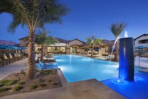 Tucson apartment for rent - a swimming pool with palm trees and chairs around it