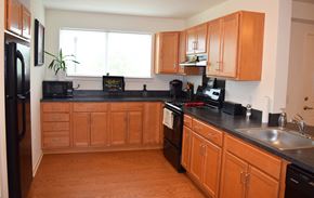 Willow Street apartment for rent - a kitchen with wooden cabinets and a black counter top