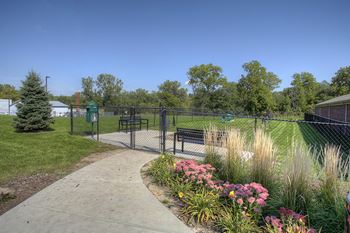 Dog park 