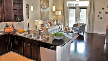 Houston apartment for rent - a kitchen and living room with a couch and a dishwasher