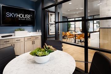 Houston apartment for rent - A bowl of green vegetables sits on a marble table in a modern kitchen.