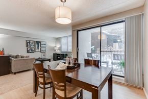 Edina apartment for rent - Brown, wooden, dining table